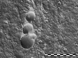 MOC Images NASA/JPL/MSSS