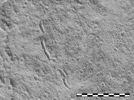 MOC Images NASA/JPL/MSSS